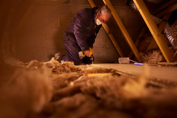 Best Eco-Friendly or Green Insulation Solutions  in Warner Robins, GA